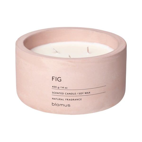 Aromātiskā sojas vaska svece degšanas laiks 25 h Fraga: Fig – Blomus
