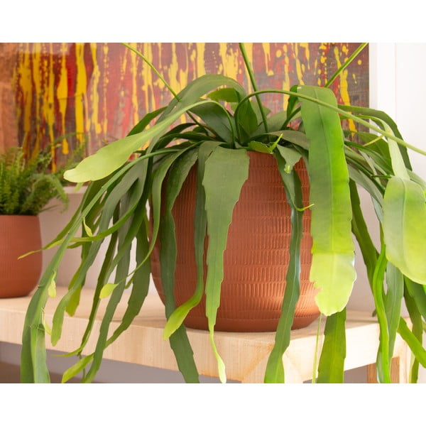 Keramikas ar rokām radīts puķu pods ø 16 cm Aura – Artevasi-image-1