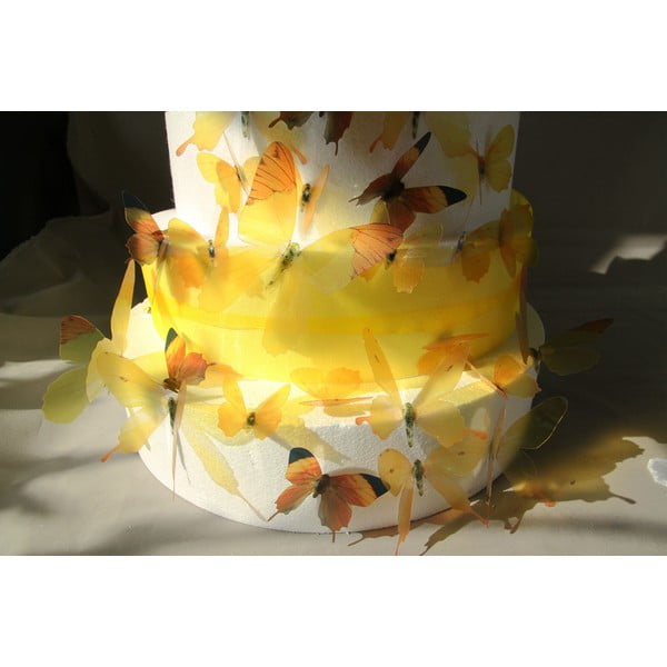 18 dzeltenu 3D uzlīmju komplekts Ambiance Butterflies-image-3