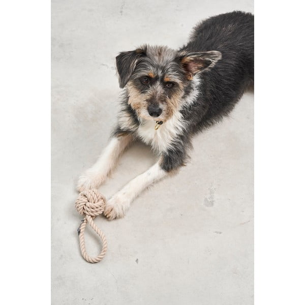 Rotaļlieta suņiem Nodo Greige – MiaCara-image-2