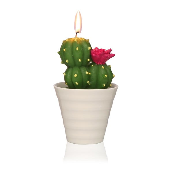 Dekoratīvā kaktusa svece Versa Cactus Fila