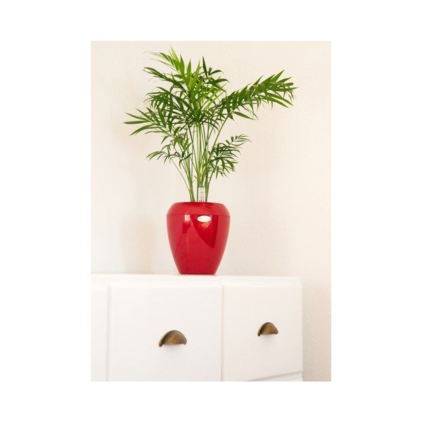 Sarkans pašapūdeņojošs puķu pods Plastia Calimera Camay, ø 17 cm-image-1