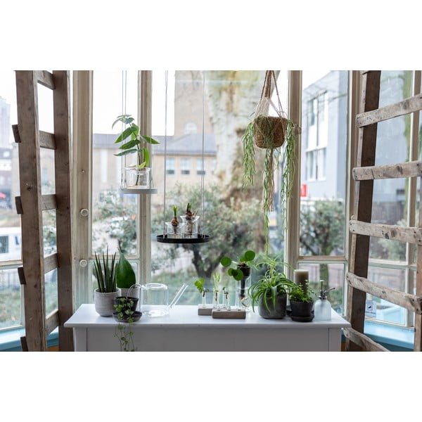 Stikla lejkanna Esschert Design Clear, 1,5 l-image-4