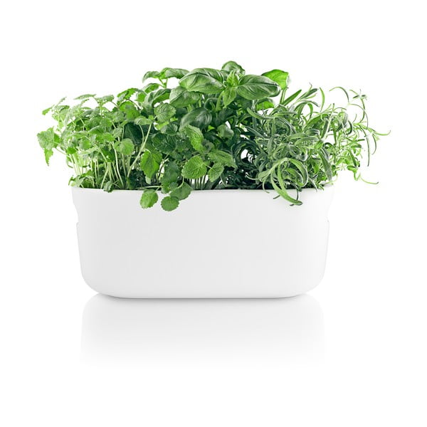 Balts pašapūdeņojošs garšaugu puķu pods Eva Solo-image-4