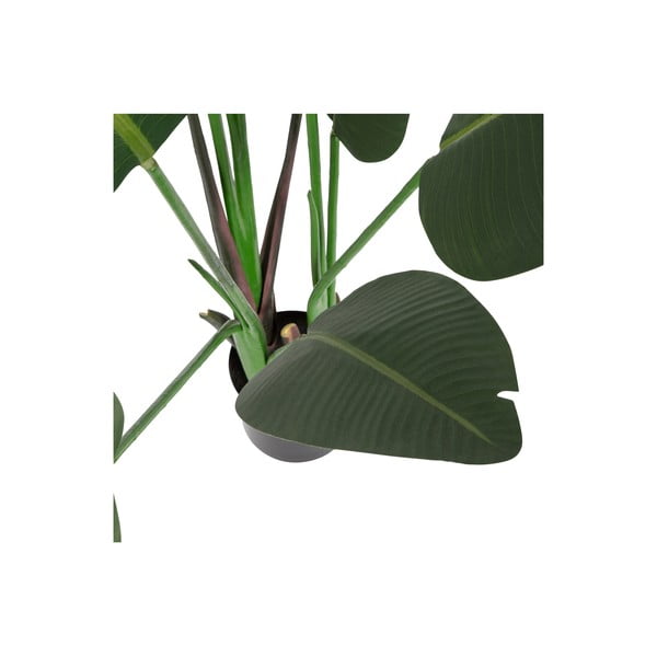 Mākslīgā strelīcija (augstums 164 cm) – WOOOD-image-2