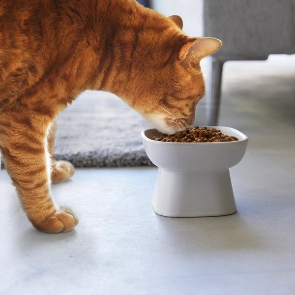 Keramikas bļodiņa mājdzīvniekiem Tower – YAMAZAKI-image-1