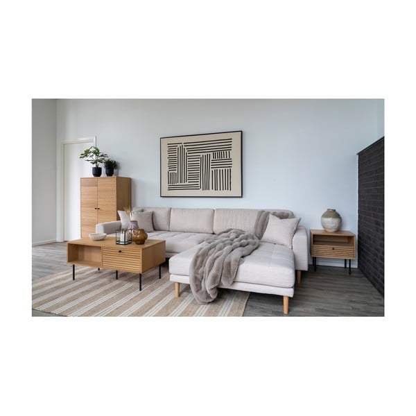 Dekoratīvais spilvens no mākslīgās kažokādas 45x45 cm Galena – House Nordic-image-4