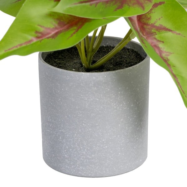 Mākslīgais augs (augstums 20 cm) Syngonium – Ixia-image-1