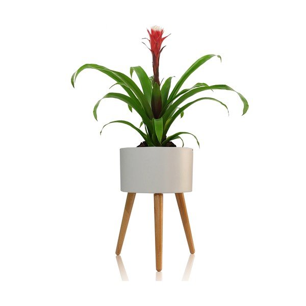 Balts pašlaistošs puķu pods Tomasucci Calla, ø 33 cm-image-2