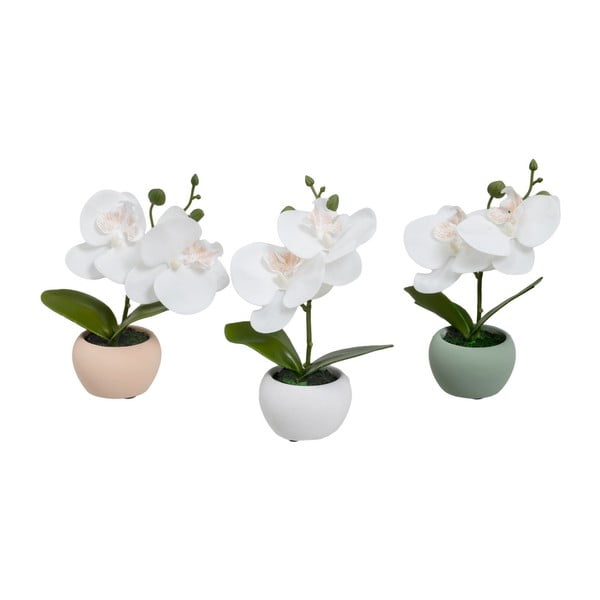 Mākslīgie augi (3 gab.) (augstums 15 cm) Orchid – Casa Selección