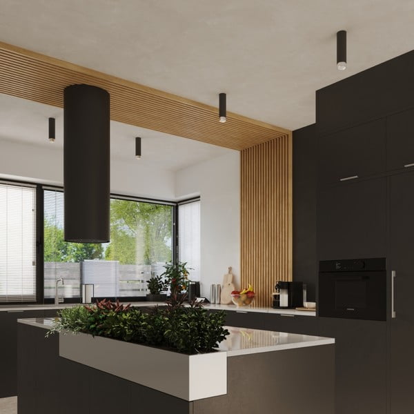 Melna/sudraba krāsas griestu lampa Crown – Sollux-image-4