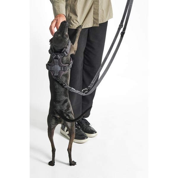 Zaļa noņemama pavada garums 200 cm Modena Grolive 25 mm – MiaCara-image-3