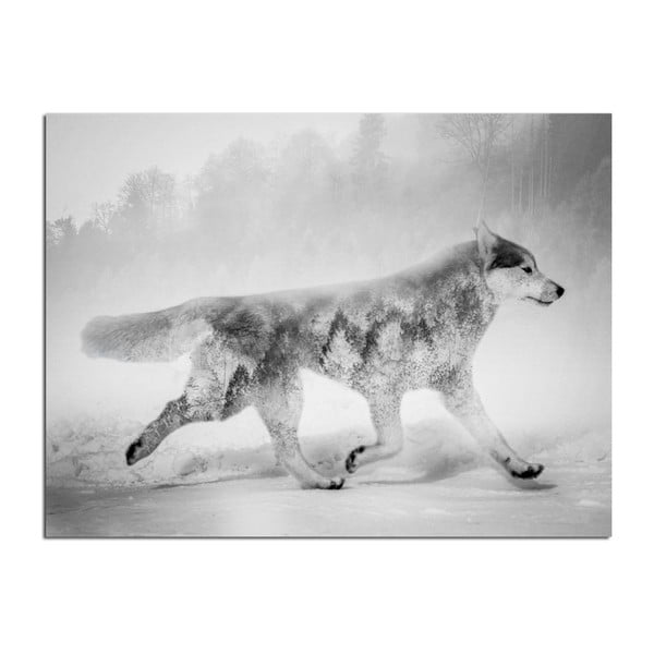 Glezna Styler Watercolor Nordic Wolf, 75 x 100 cm