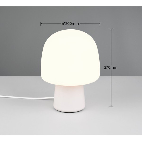 Balta galda lampa ar stikla abažūru (augstums 27 cm) Steen – Trio-image-4