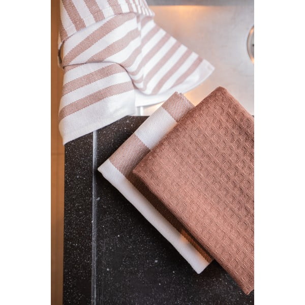 Kokvilnas trauku dvieļi (3 gab.) 51x74 cm Marra – Tiseco Home Studio-image-2