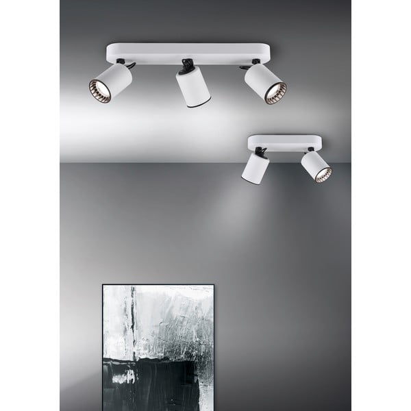 Balta prožektora tipa lampa ø 6 cm Pago – Trio-image-1