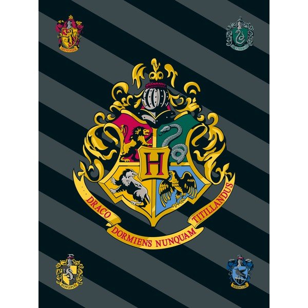 Flīsa bērnu sega 100x150 cm Harry Potter – Jerry Fabrics