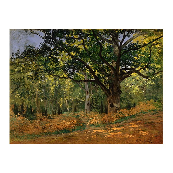 Gleznas reprodukcija Claude Monet – The Bodmer Oak, Fontainebleau Forest, 70 x 50 cm