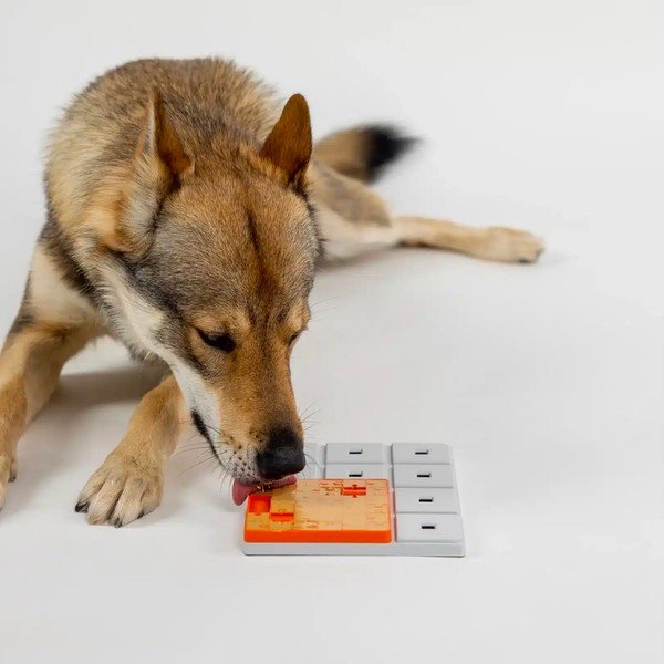 Rotaļlieta suņiem Terra – Pawzler-image-2