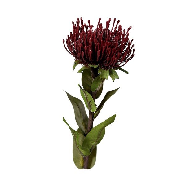 Mākslīgais augs (augstums 74 cm) Protea – Ego Dekor