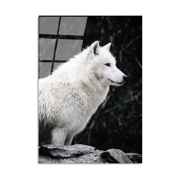 Stikla glezna 70x100 cm White Wolf – Wallity