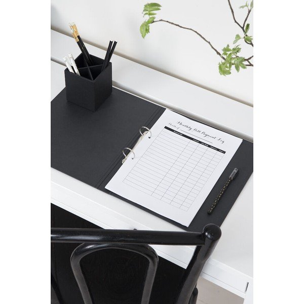 Kartona organizators dokumentiem Ringo – Bigso Box of Sweden-image-2