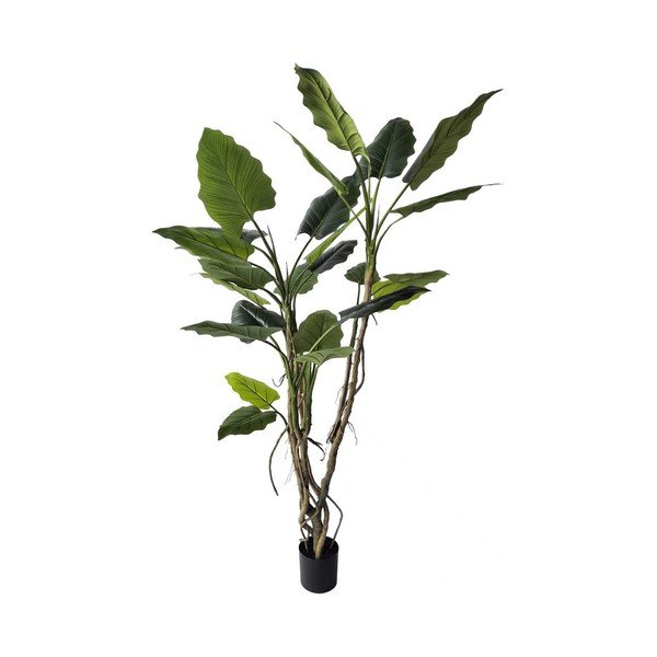 Mākslīgais augs (augstums 190 cm) Alocasia – Bizzotto