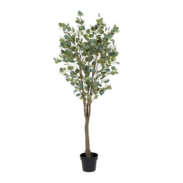 Mākslīgais eikalipts (augstums 173 cm) Eucalyptus – Ixia