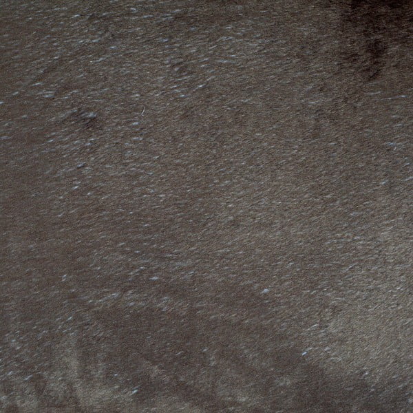 Gaiši brūna gulta suņiem ø 50 cm – Love Story-image-4