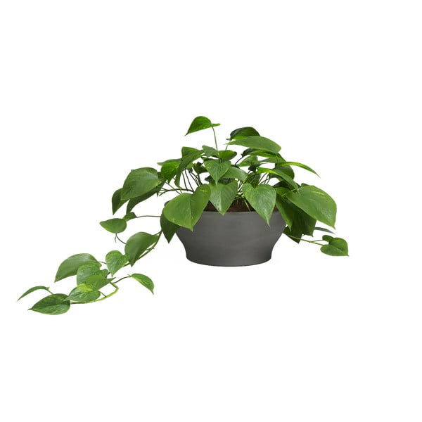 Terakotas puķu pods ø 23 cm Saramago – Artevasi-image-1