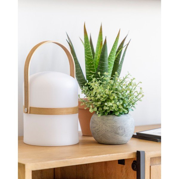 Mākslīgais eikalipts Kave Home katlā-image-2