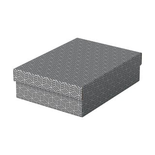 3 pelēku glabāšanas kastu komplekts Leitz Eselte, 26,5 x 36 cm