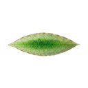 Akmensmasas paplāte 6x18 cm Riviera – Costa Nova