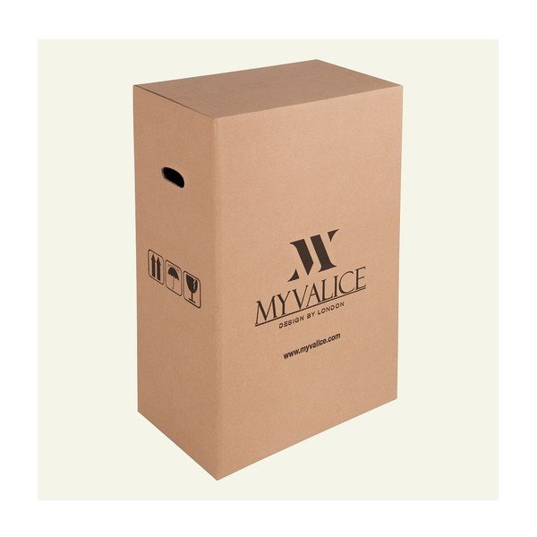 Rozā čemodāns ar USB portu My Valice COLORS RESSNO Pilot Suitcase-image-2