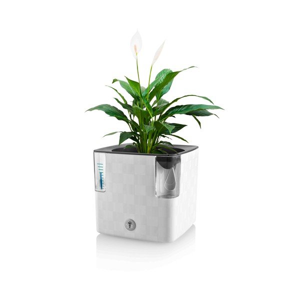 Plastmasas puķu pods garšaugiem/pašlaistošs Cobble – Flower Lover-image-2