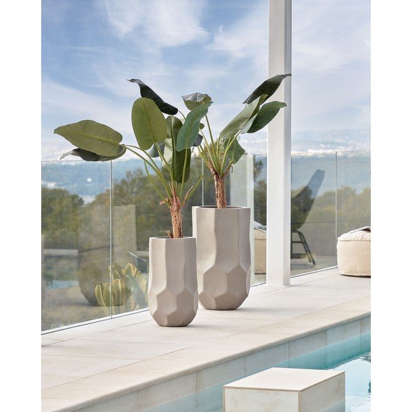 Mākslīgā palma (augstums 160 cm) Baa – Kave Home-image-1