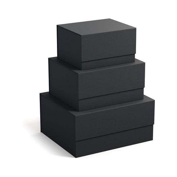 Kartona uzglabāšanas kastes ar vāku (3 gab.) Ilse – Bigso Box of Sweden