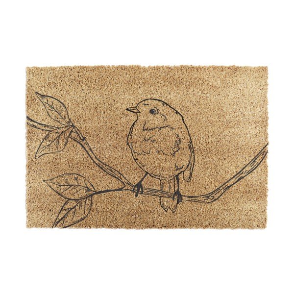 Kokosšķiedras kājslauķis 40x60 cm Pencil Robin – Artsy Doormats