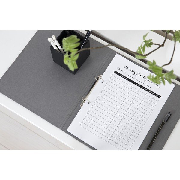 Kartona organizators dokumentiem Ringo – Bigso Box of Sweden-image-3