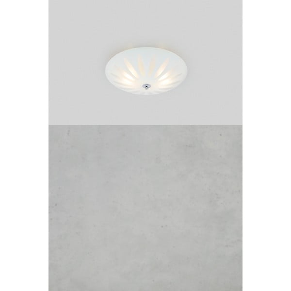 Balta griestu lampa ar stikla abažūru Petal – Markslöjd-image-1