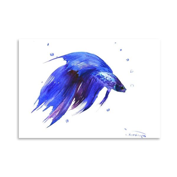 Plakāts Betta Fish