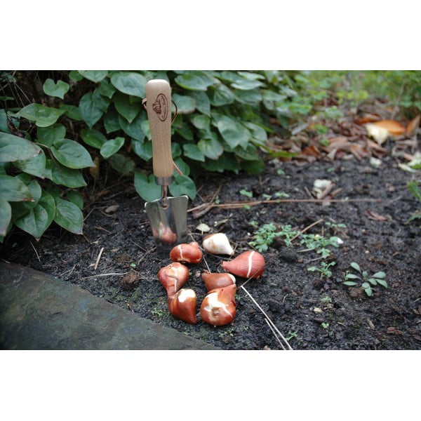 Oškoka pārstādīšanas lāpstiņa Esschert Design Pond-image-4