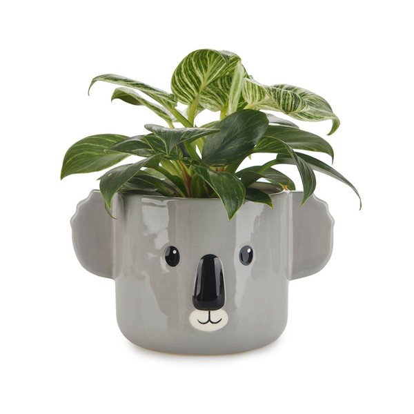 Keramikas puķu pods ø 13,5 cm Koala – Balvi-image-1