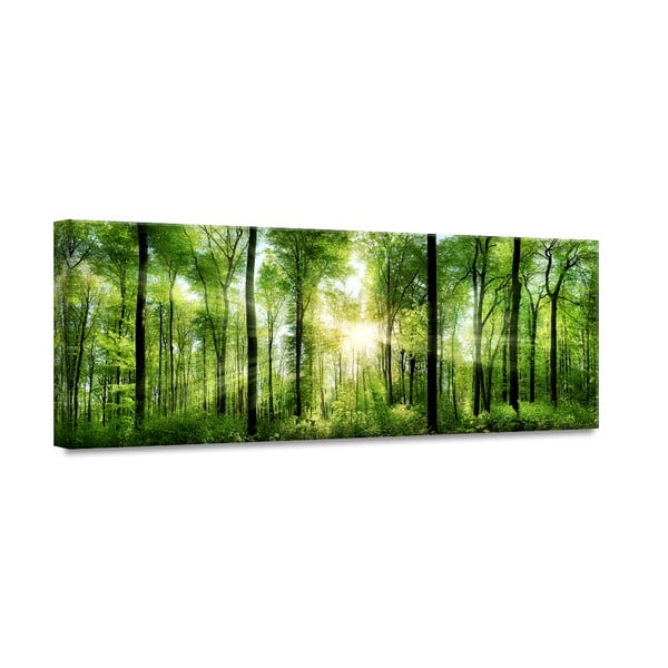 Attēls Styler Glasspik Nature Sunlight, 50 x 125 cm