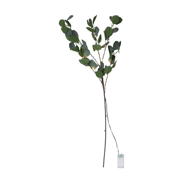 Zaļš LED lampiņu dekors Star Trading Eucalyptus, garums 90 cm