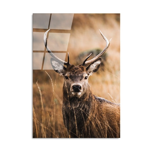 Stikla glezna 70x100 cm Deer – Wallity