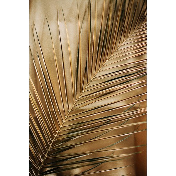 Drukāta stikla glezna 80x120 cm Gold Palm  – Styler