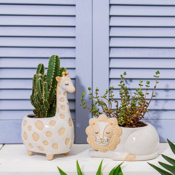 Balti bēšs puķu pods Sass & Belle Leo Lion, ø 7 cm-image-1