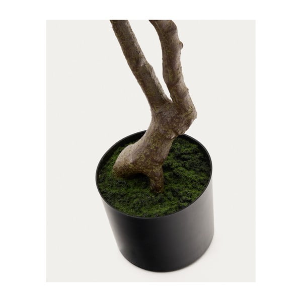 Mākslīgais augs (augstums 180 cm) Pachira – Kave Home-image-3