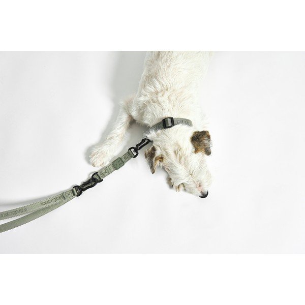 Tumši pelēka kaklasiksna S/M garums 32 cm Modena Asphalt S/SM – MiaCara-image-4